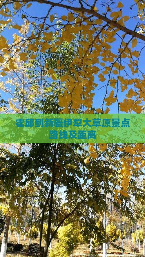 霍邱到新疆伊犁大草原景点路线及距离