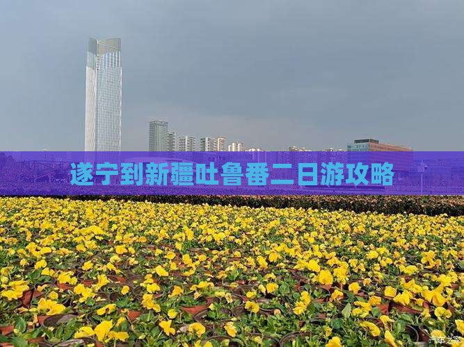 遂宁到新疆吐鲁番二日游攻略