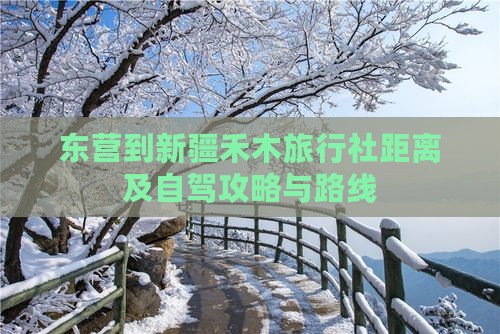 东营到新疆禾木旅行社距离及自驾攻略与路线