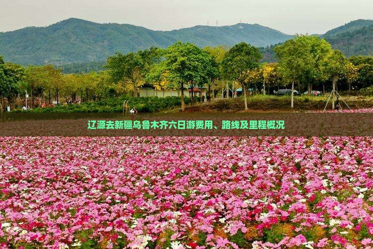 辽源去新疆乌鲁木齐六日游费用、路线及里程概况