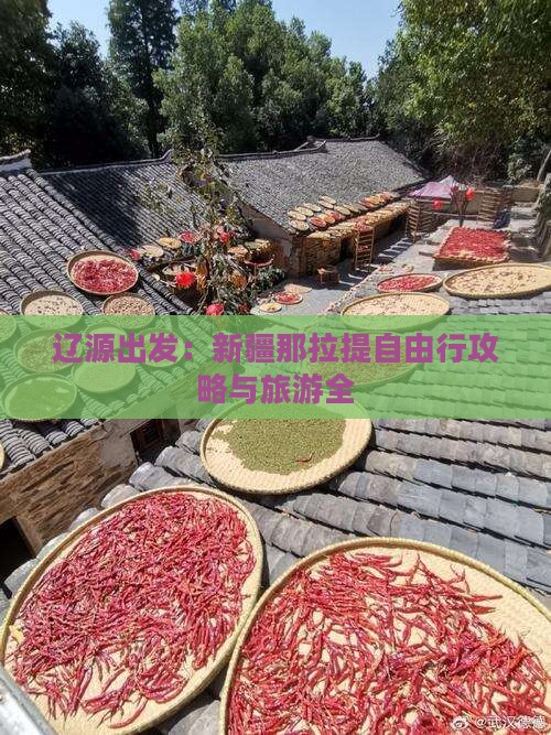 辽源出发：新疆那拉提自由行攻略与旅游全