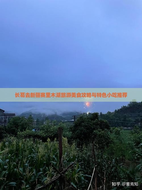 长葛去新疆赛里木湖旅游美食攻略与特色小吃推荐