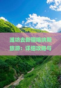 潍坊去新疆喀纳斯旅游：详细攻略与最优路线及距离解析