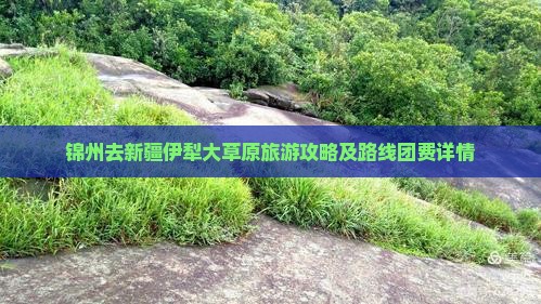 锦州去新疆伊犁大草原旅游攻略及路线团费详情