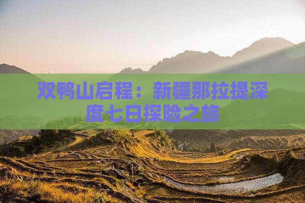 双鸭山启程：新疆那拉提深度七日探险之旅