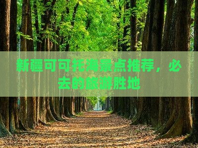 新疆可可托海景点推荐，必去的旅游胜地