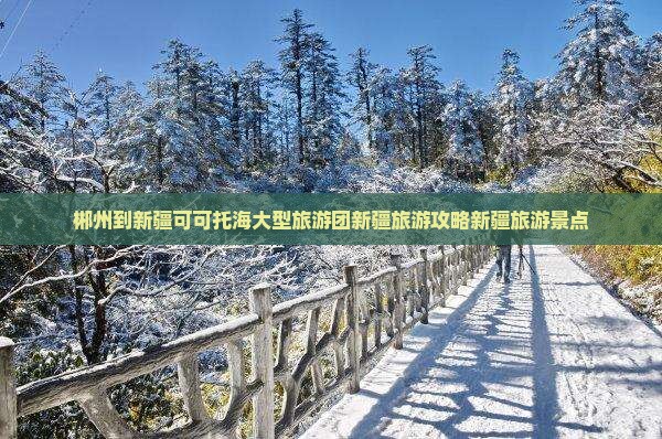 郴州到新疆可可托海大型旅游团新疆旅游攻略新疆旅游景点