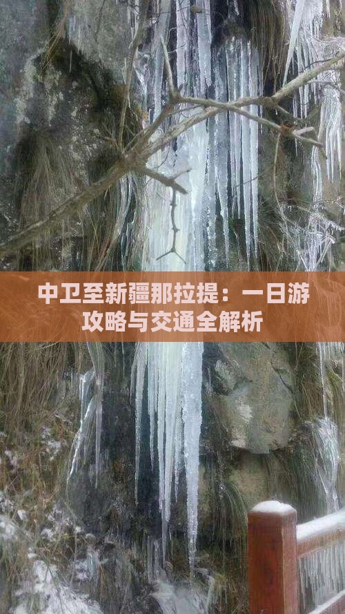 中卫至新疆那拉提：一日游攻略与交通全解析