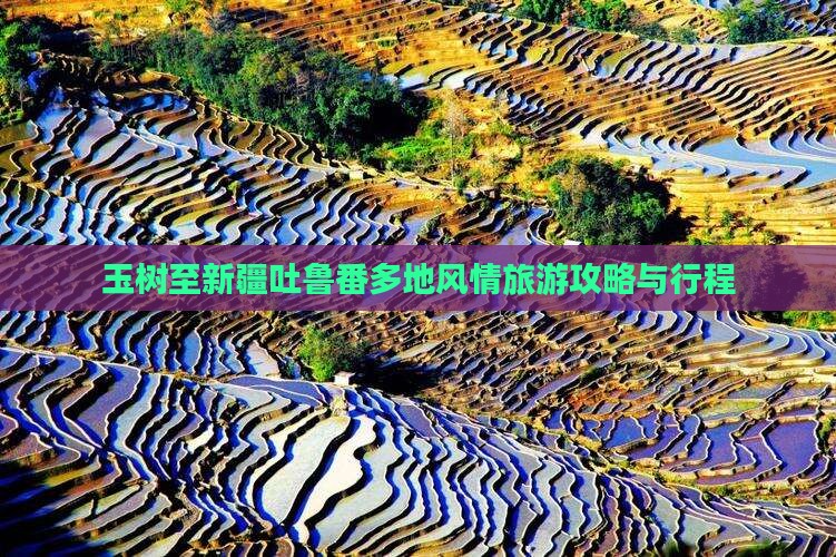 玉树至新疆吐鲁番多地风情旅游攻略与行程