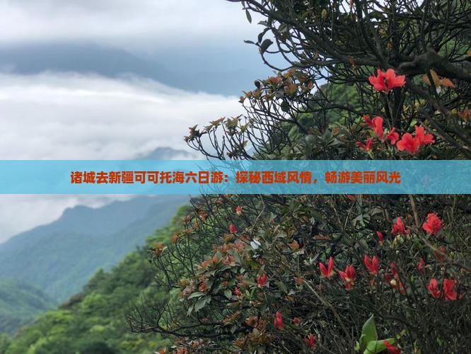 诸城去新疆可可托海六日游：探秘西域风情，畅游美丽风光