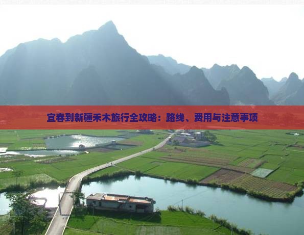 宜春到新疆禾木旅行全攻略:路线、费用与注意事项 宜春到新疆禾木旅行全攻略:路线、费用与注意事项