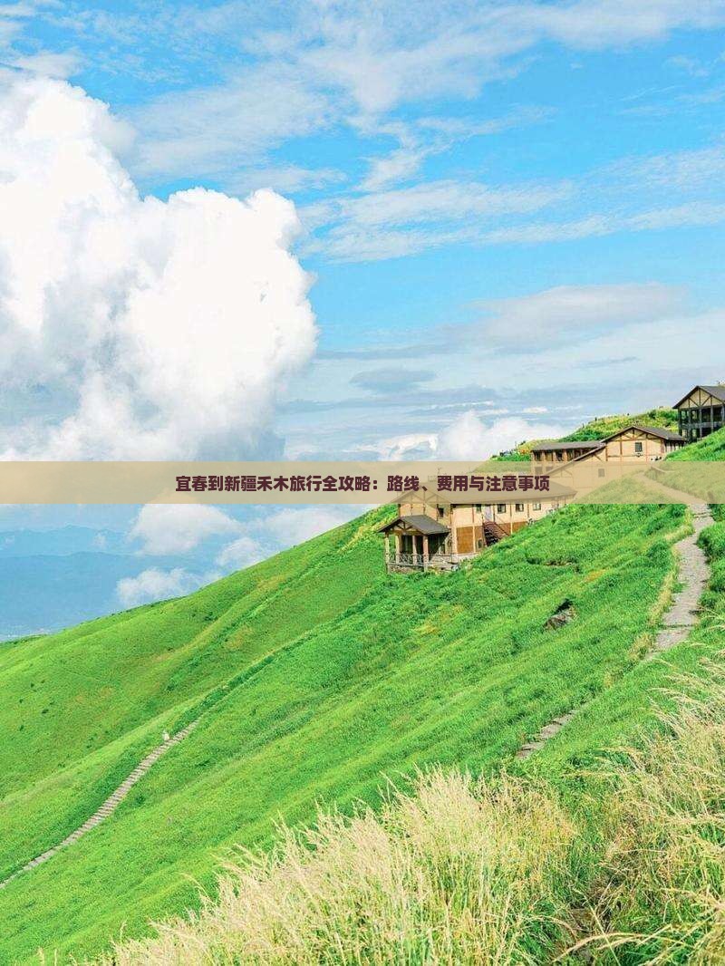 宜春到新疆禾木旅行全攻略:路线、费用与注意事项 宜春到新疆禾木旅行全攻略:路线、费用与注意事项