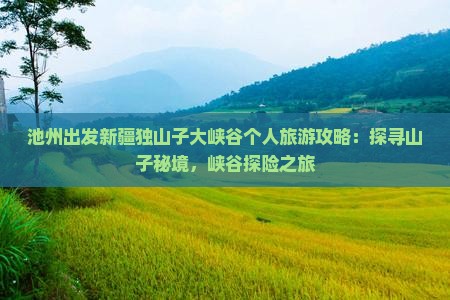 池州出发新疆独山子大峡谷个人旅游攻略：探寻山子秘境，峡谷探险之旅