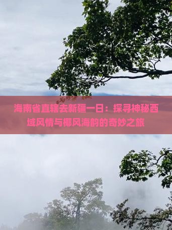 海南省直辖去新疆一日：探寻神秘西域风情与椰风海韵的奇妙之旅