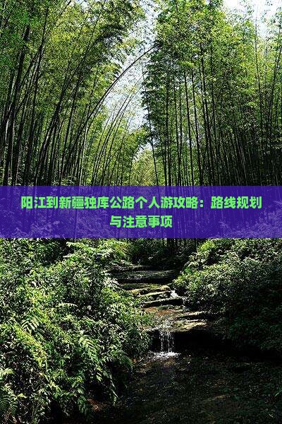 阳江到新疆独库公路个人游攻略：路线规划与注意事项