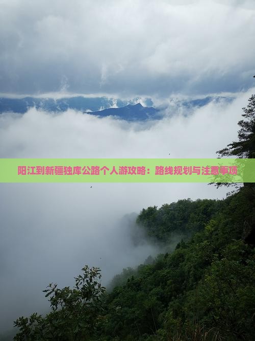 阳江到新疆独库公路个人游攻略：路线规划与注意事项