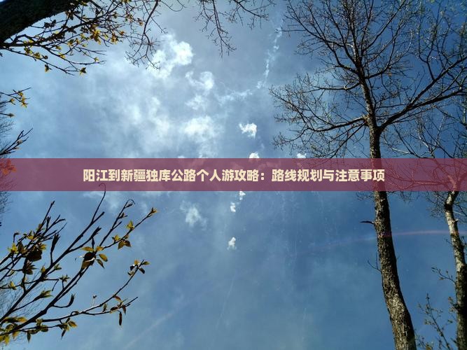 阳江到新疆独库公路个人游攻略：路线规划与注意事项