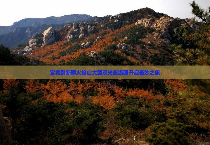 宜宾到新疆火焰山大型观光旅游团开启奇妙之旅