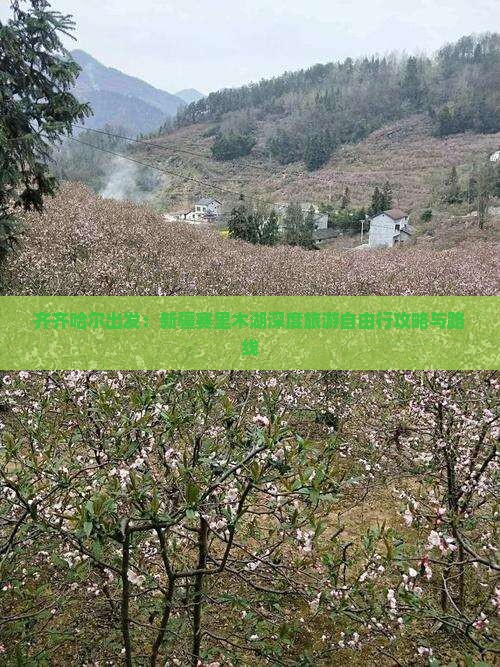 齐齐哈尔出发：新疆赛里木湖深度旅游自由行攻略与路线