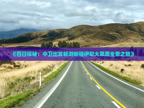 《四日探秘：中卫出发畅游新疆伊犁大草原全景之旅》