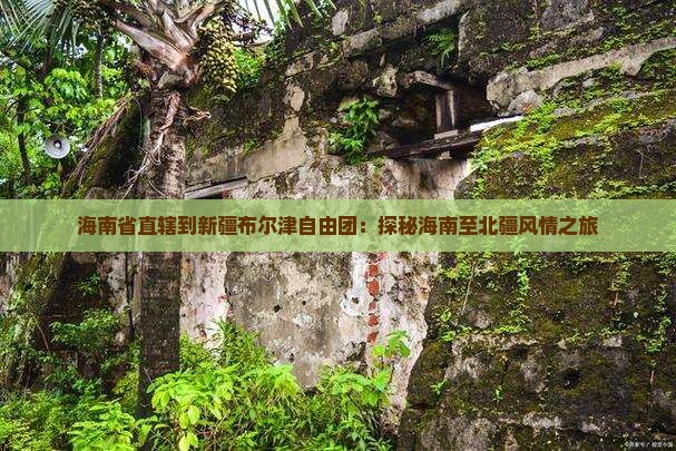 海南省直辖到新疆布尔津自由团：探秘海南至北疆风情之旅
