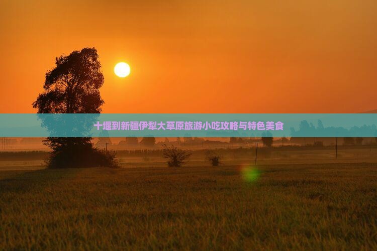 十堰到新疆伊犁大草原旅游小吃攻略与特色美食