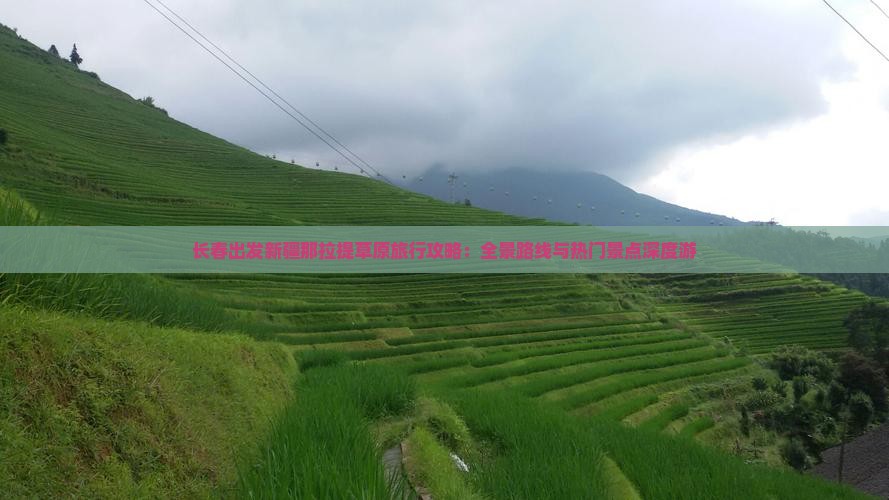 长春出发新疆那拉提草原旅行攻略：全景路线与热门景点深度游