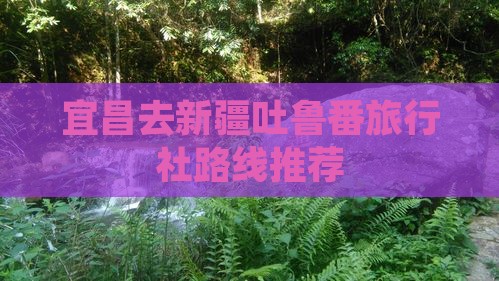 宜昌去新疆吐鲁番旅行社路线推荐