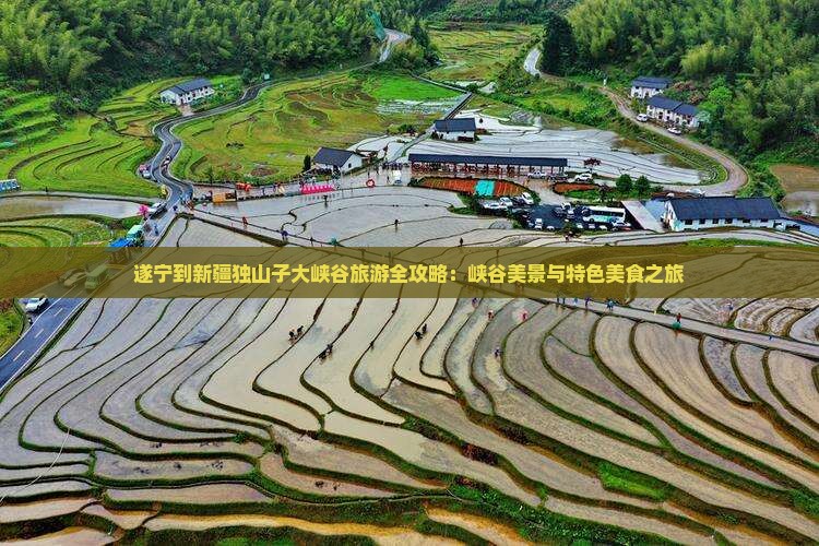 遂宁到新疆独山子大峡谷旅游全攻略：峡谷美景与特色美食之旅