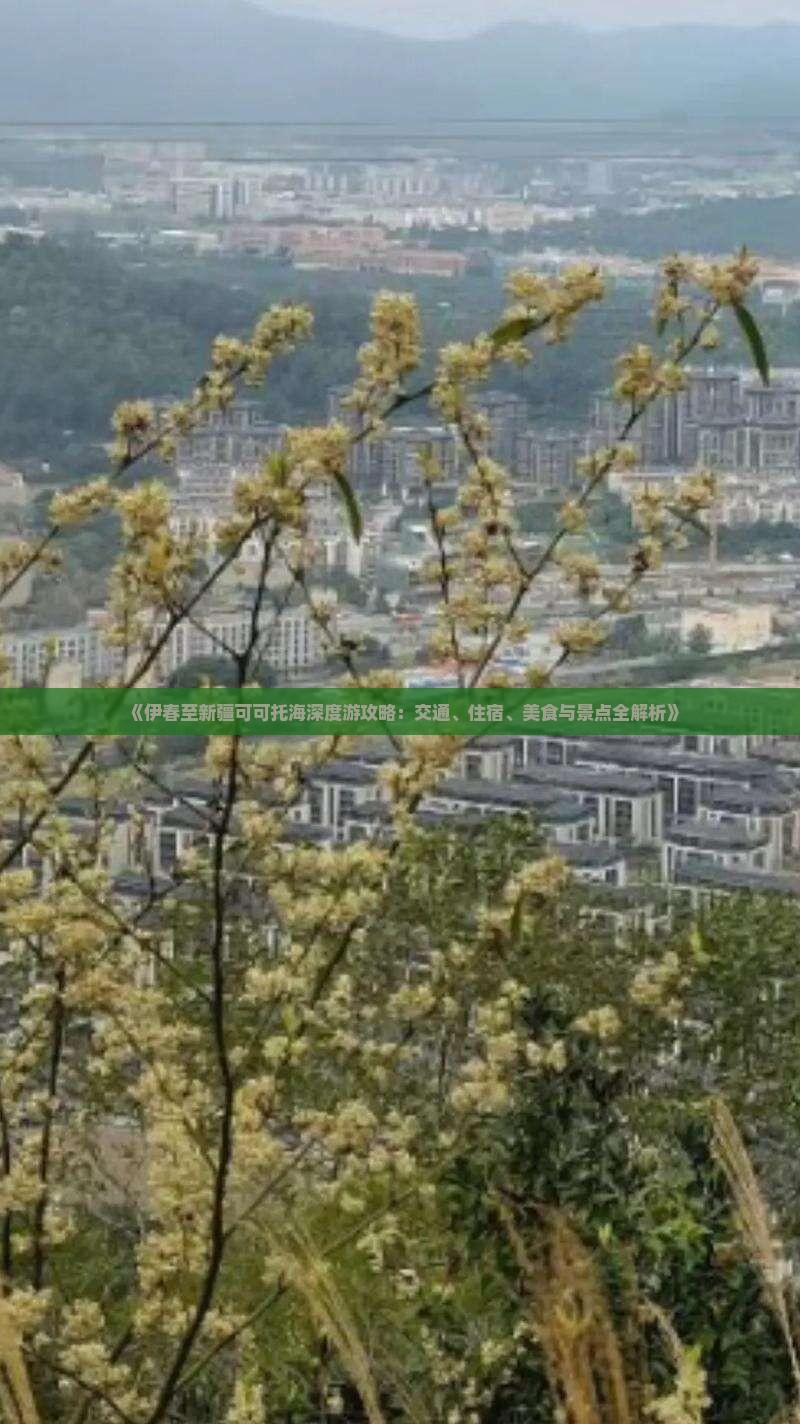《伊春至新疆可可托海深度游攻略：交通、住宿、美食与景点全解析》