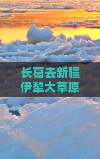 长葛去新疆伊犁大草原自由团纯玩双飞七日游