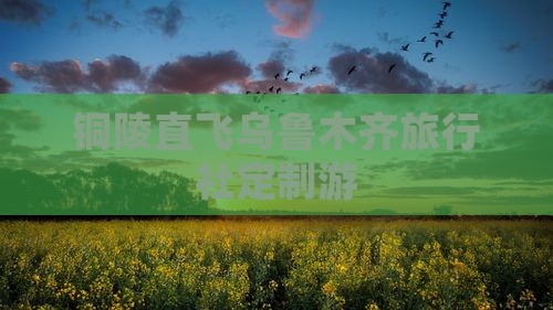 铜陵直飞乌鲁木齐旅行社定制游