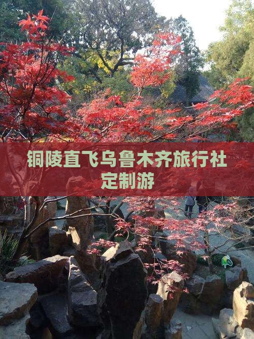 铜陵直飞乌鲁木齐旅行社定制游