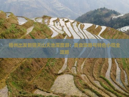 梧州出发新疆天山天池深度游：美食攻略与特色小吃全攻略