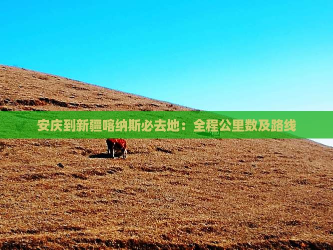 安庆到新疆喀纳斯必去地：全程公里数及路线