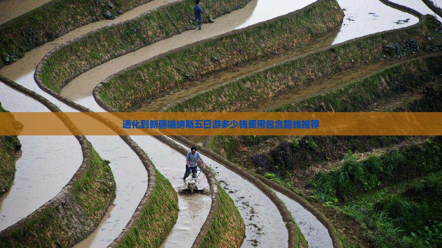 通化到新疆喀纳斯五日游多少钱费用包含路线推荐