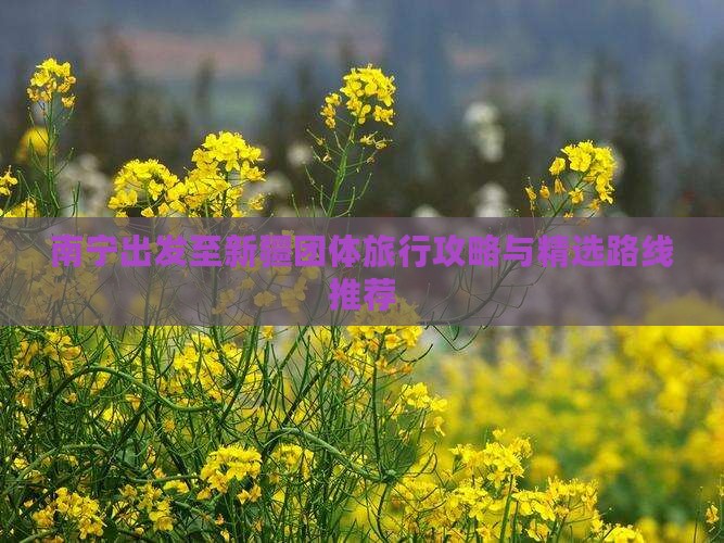 南宁出发至新疆团体旅行攻略与精选路线推荐