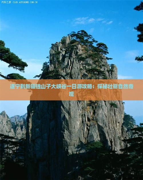 遂宁到新疆独山子大峡谷一日游攻略：探秘壮丽自然奇观