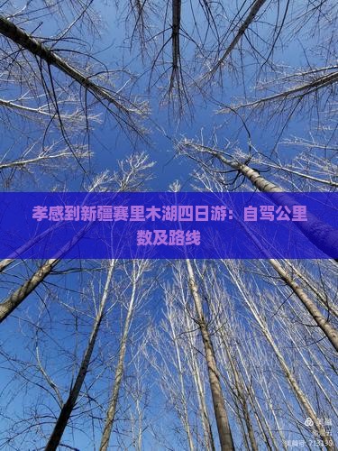 孝感到新疆赛里木湖四日游：自驾公里数及路线