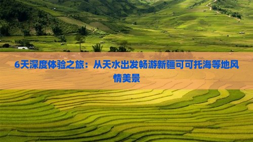 6天深度体验之旅：从天水出发畅游新疆可可托海等地风情美景