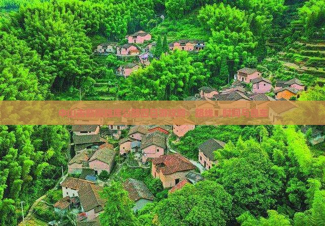 中山去新疆独库公路四日游攻略：路线、时间与包车