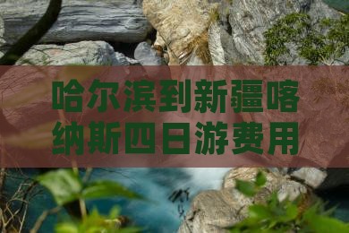 哈尔滨到新疆喀纳斯四日游费用及路线