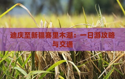 迪庆至新疆赛里木湖：一日游攻略与交通
