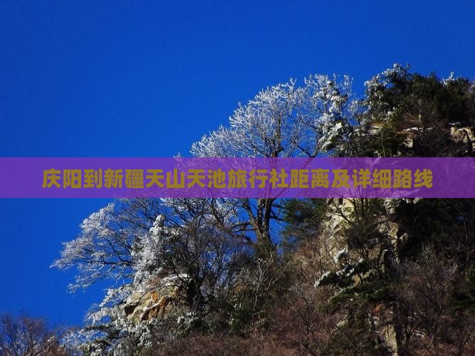 庆阳到新疆天山天池旅行社距离及详细路线