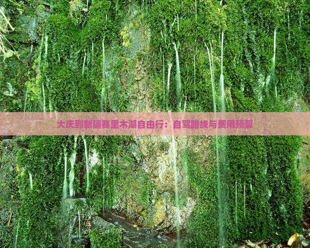大庆到新疆赛里木湖自由行：自驾路线与费用预算