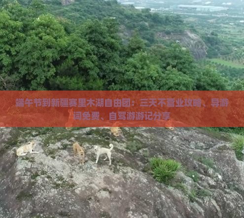 端午节到新疆赛里木湖自由团：三天不营业攻略、导游词免费、自驾游游记分享