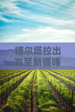 博尔塔拉出发至新疆喀纳斯四日旅游行程推荐