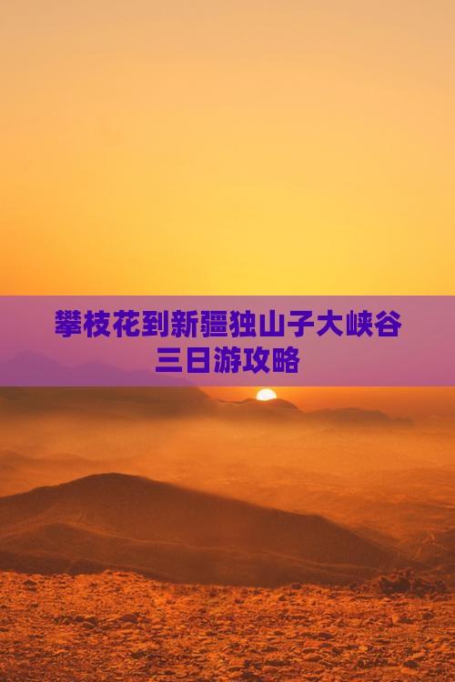 攀枝花到新疆独山子大峡谷三日游攻略