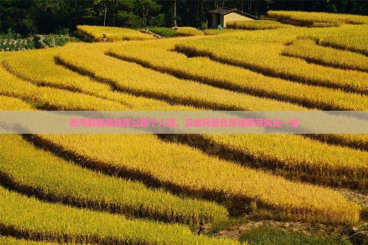 黑河到新疆独库公路个人游，沿途风景及新疆黑河风光一览