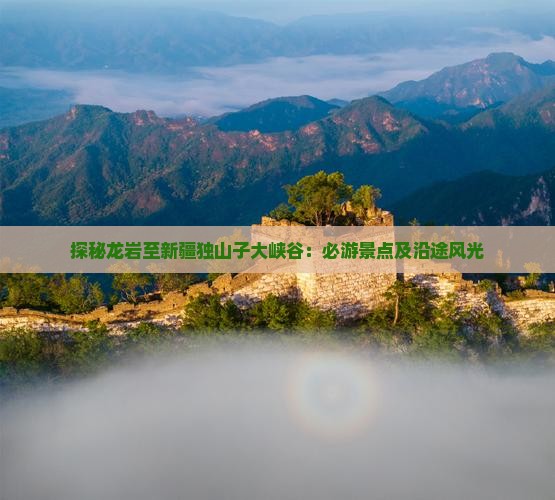 探秘龙岩至新疆独山子大峡谷：必游景点及沿途风光